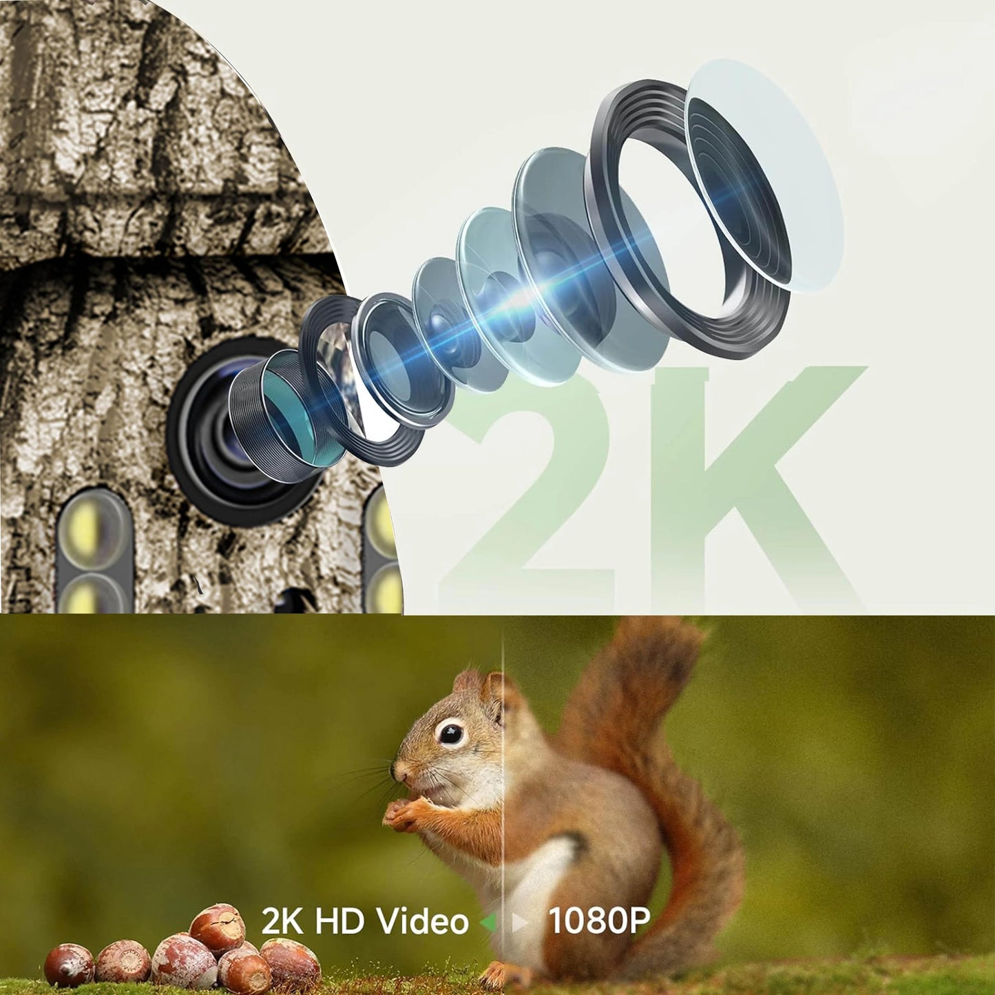 2 Pack 4G LTE Cellular Trail Cameras, Supports Cellular Data Plan, 360°Full View Live Video, 2K HD Game Camera with Solar Power,